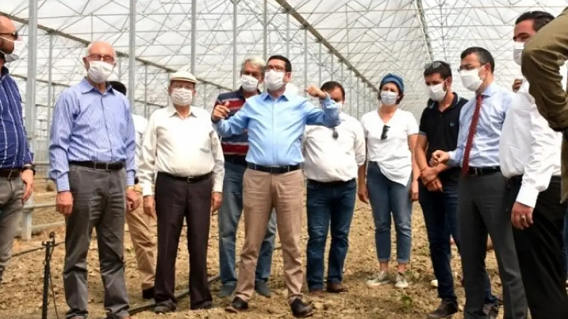 Milas'a İlk Muz Fidanı Törenle Dikildi