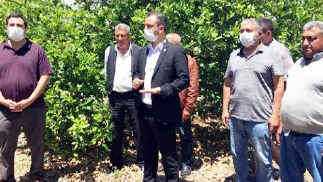 Vekil Erbay ve İlçe Başkanı Tezcan: 'Muğla Afet Bölgesi İlan Edilsin'