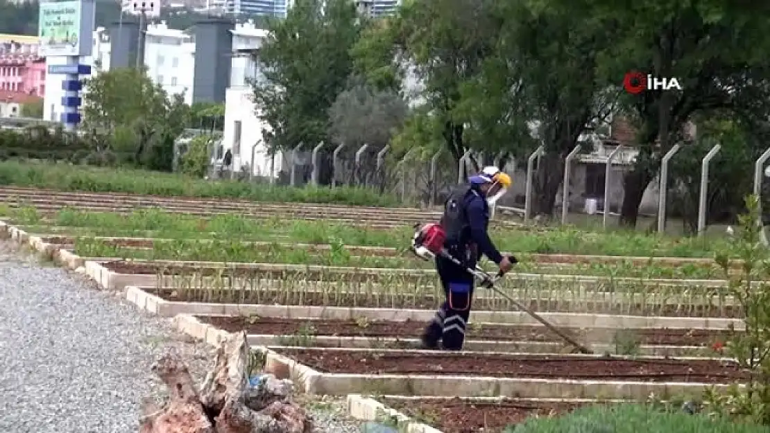 Yerel Tohumlar Toprakla Buluşuyor!