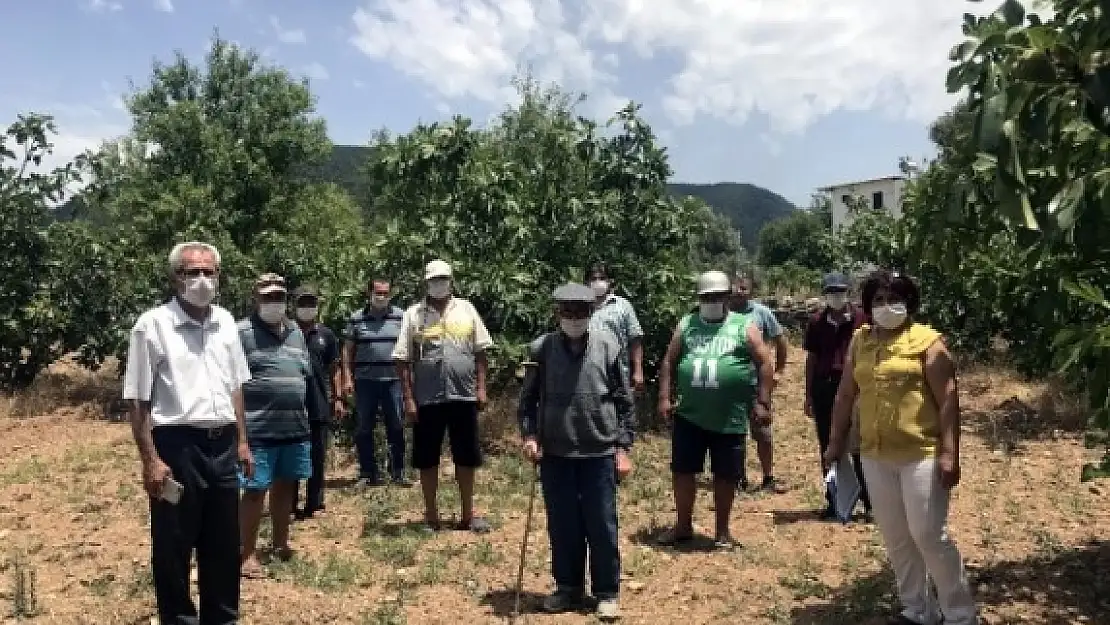 Bodrum'da, Çiftçi Eğitim ve Bilgilendirme Çalışmaları Devam Ediyor