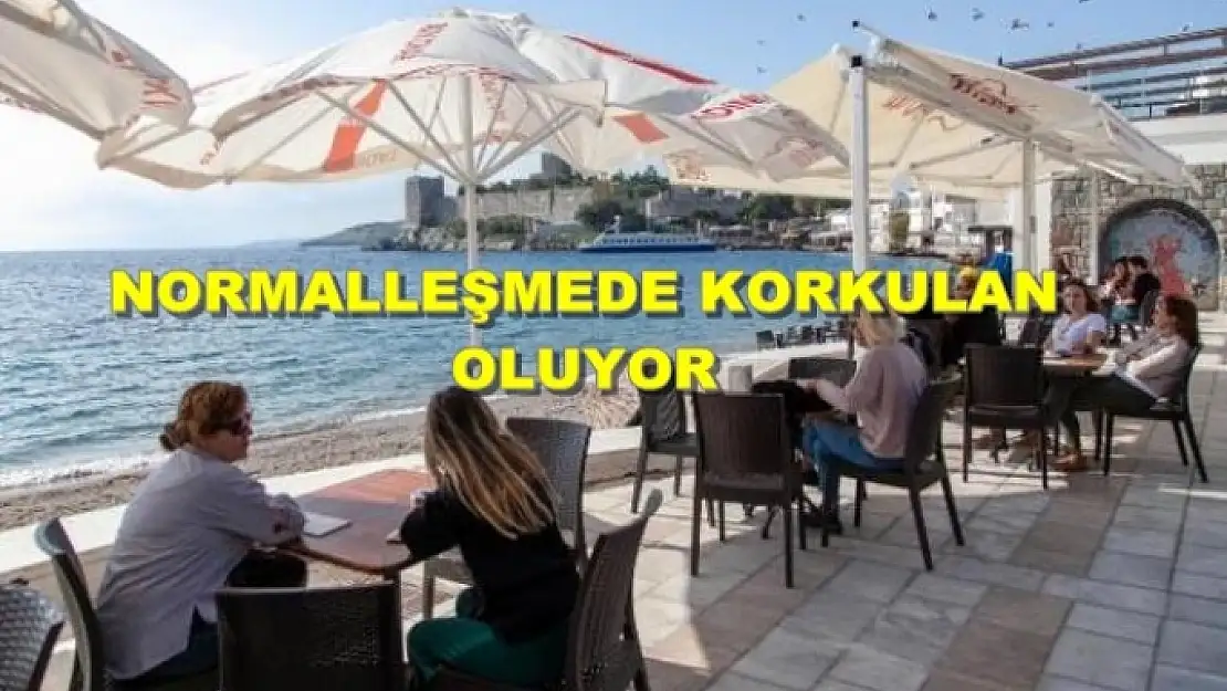 BODRUM'DA İKİ AİLEDEN 6 KİŞİDE KORONAVİRÜS TESPİT EDİLDİ!