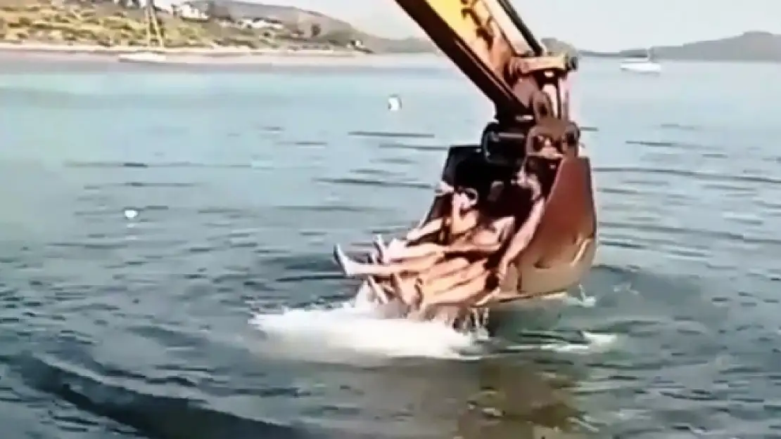 Bodrum'da Kkepçeli Deniz Keyfi