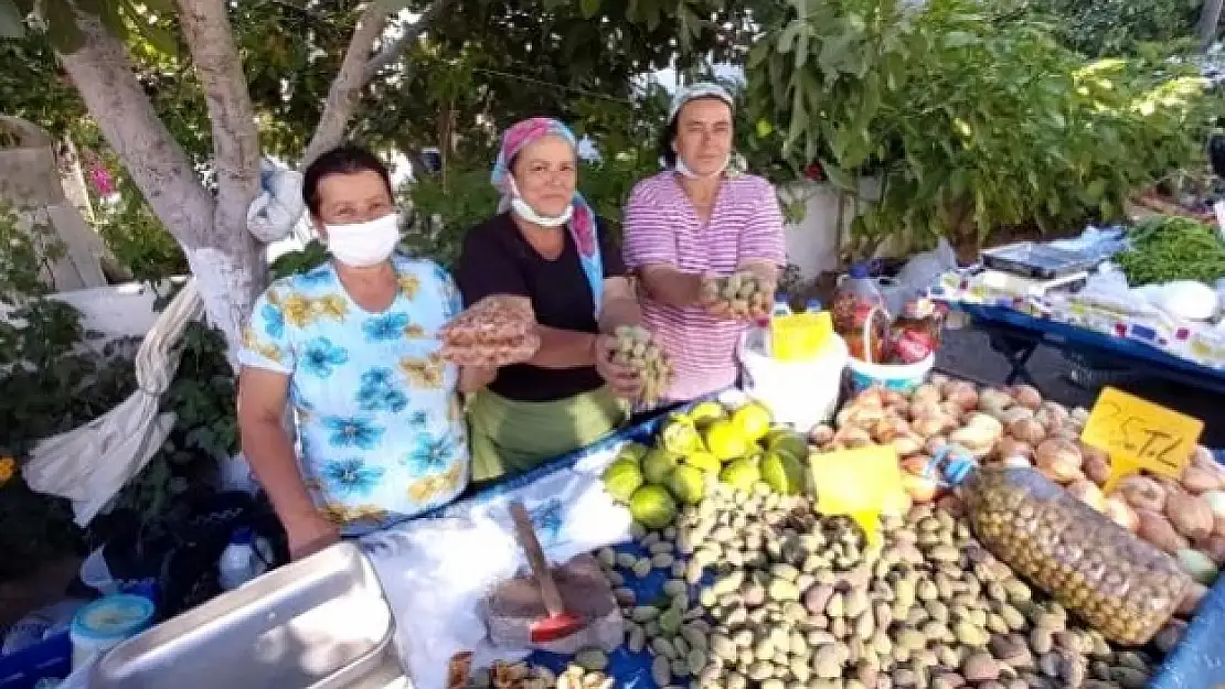 Datça'da Taze Badem Hasadı Başladı