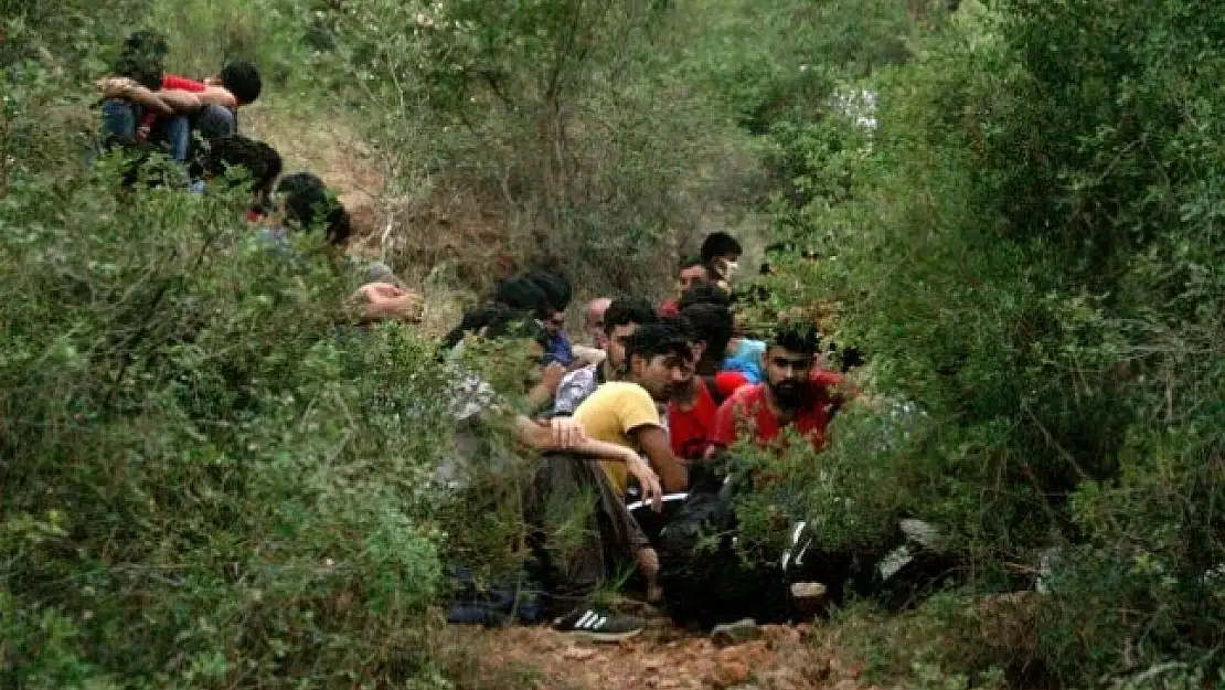 Fethiye'de 54 Düzensiz Göçmen Yakalandı