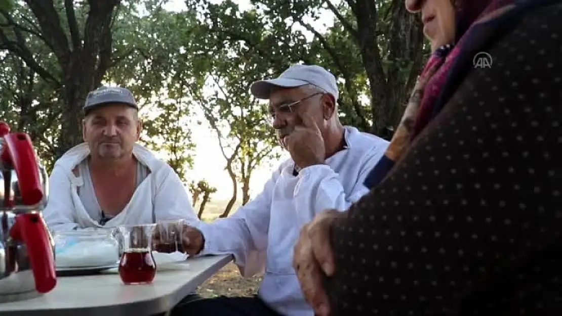 Gezgin Arıcıların Merada Geçen Buruk Bayramı