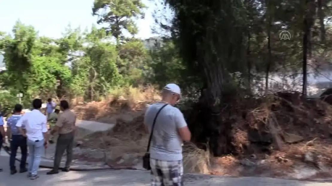 Marmaris'te Çıkan Orman Yangını Söndürüldü