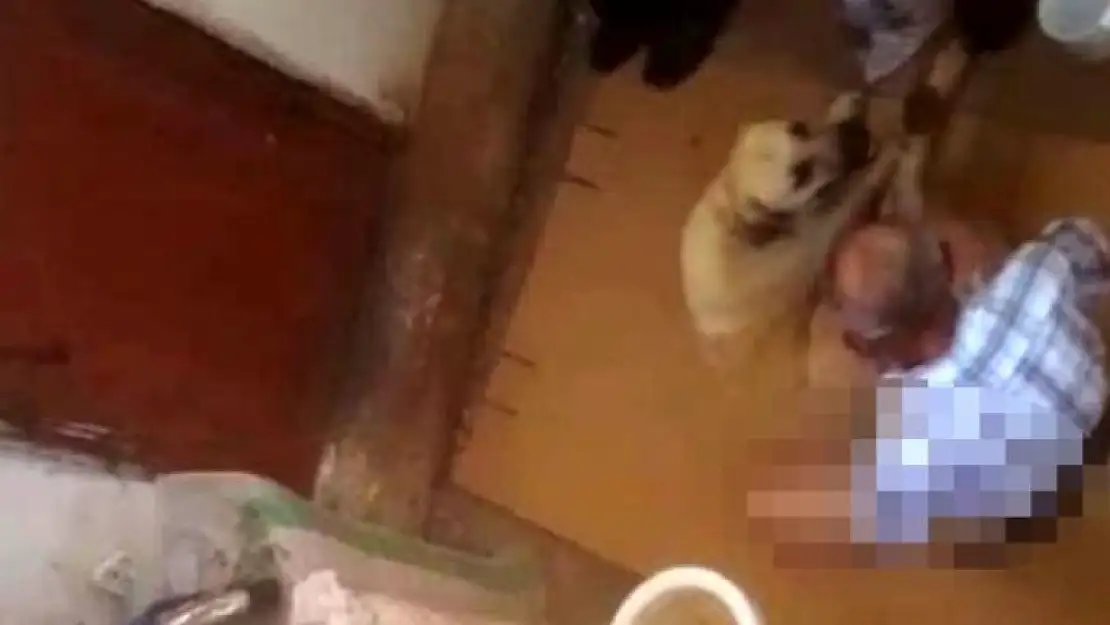 Ayaklarını Hortumla Bağladığı Köpeğe Tecavüz Ederken Yakalandı!