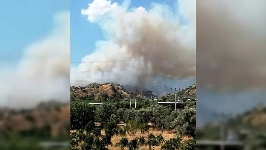 Aydın'ın Efeler İlçesindeki Bir Arazide Yangın Çıktı