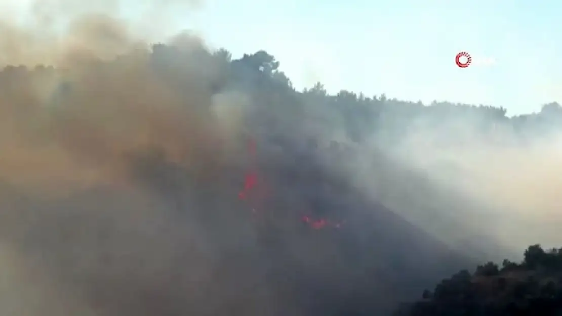 Bodrum'un Mazı İlçesinde Orman Yangını Başladı