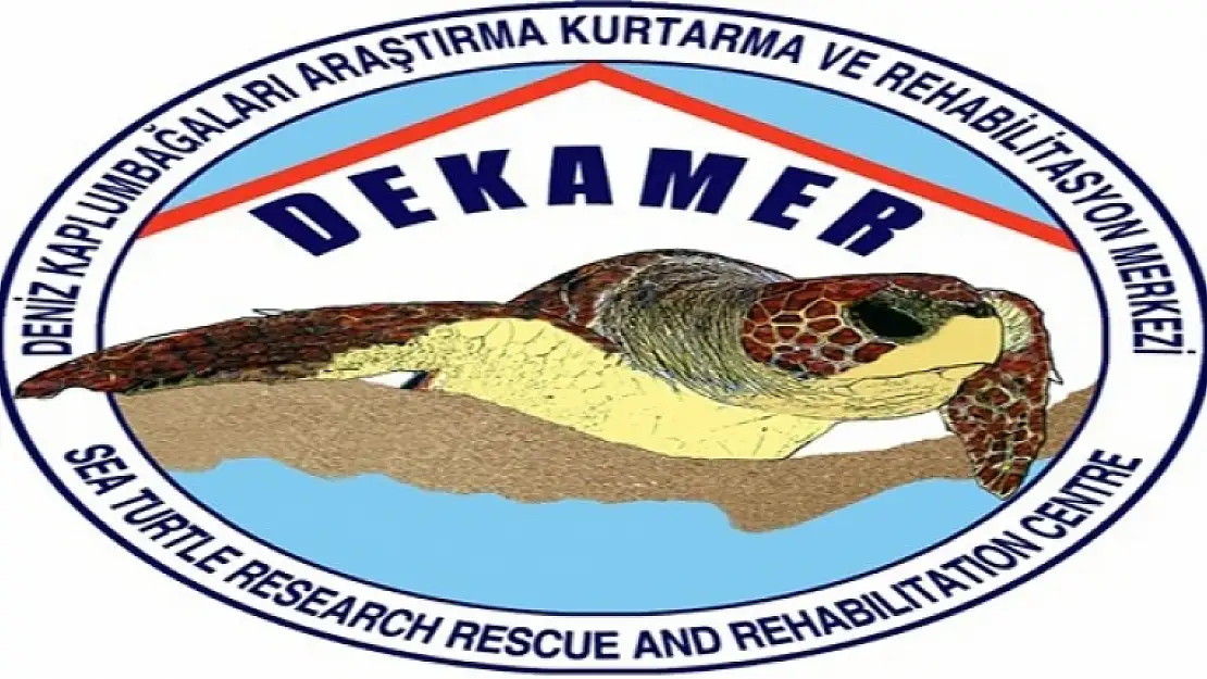 DEKAMER'den Caretta Caretta Açıklaması!