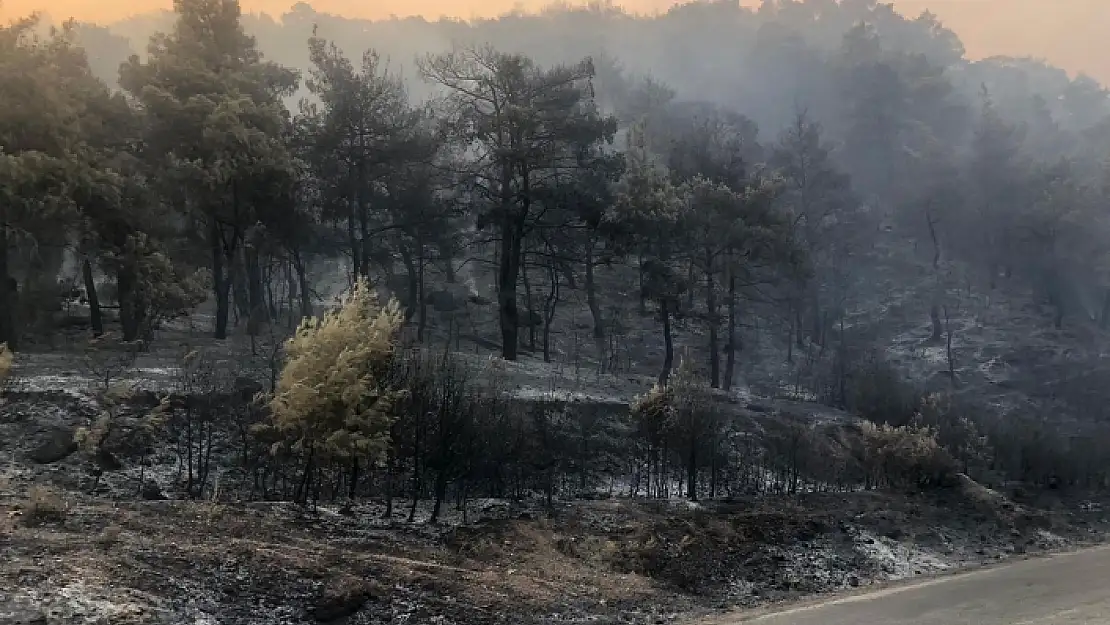 Manisa'daki Orman Yangınını Söndürme Çalışmaları Sürüyor