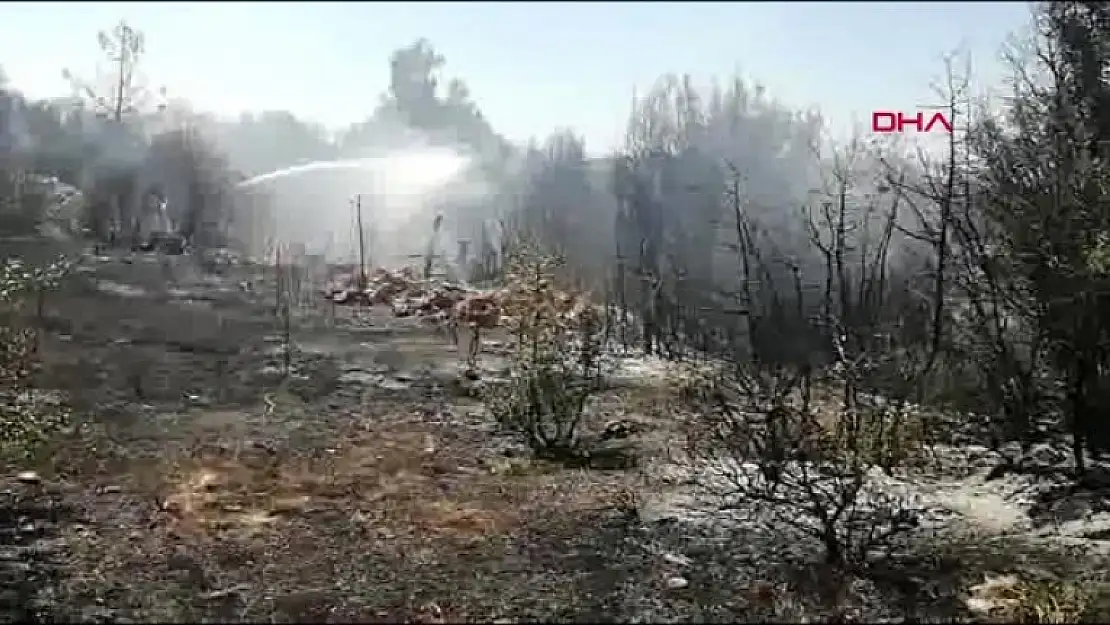 Menteşe'de, Tarım Arazisinde Başlayan Yangın Ormana Sıçradı!