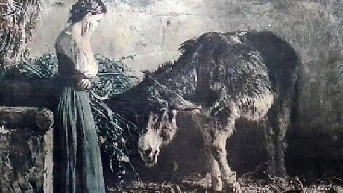 Milas'taki Kaçakçılık Operasyonunda 149 Yıllık Tablo Ele Geçirildi!