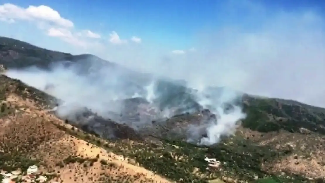 Milas'taki Orman Yangınına Müdahaleye Devam Ediliyor