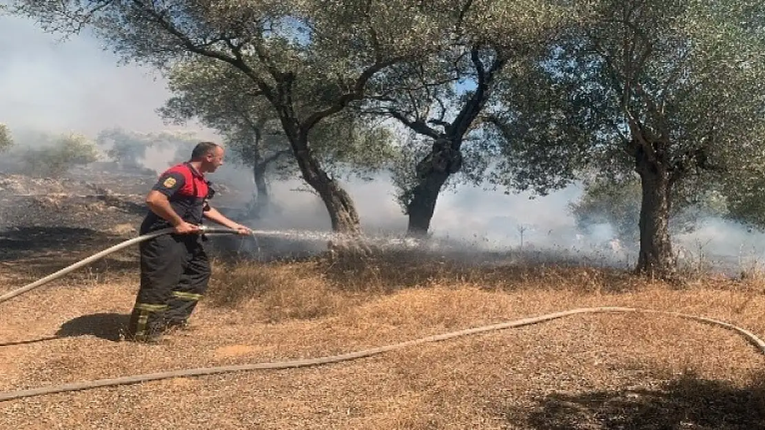 Milas'taki Orman Yangını 17 Saatte Söndürüldü