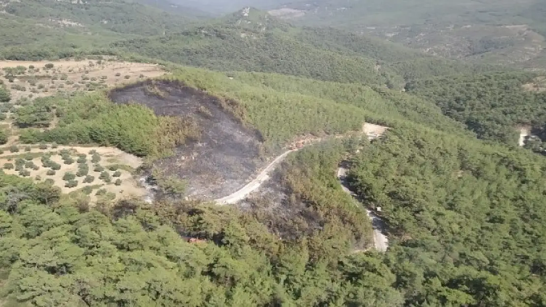 Muğla Orman Bölge Müdürlüğü'nün Hızlı Müdahalesi Faciayı Önledi