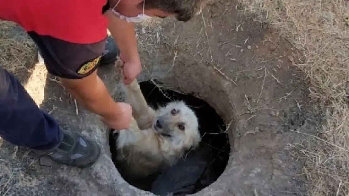 Sevimli Köpek, İtfaiyenin Yardımı İle Kurtuldu