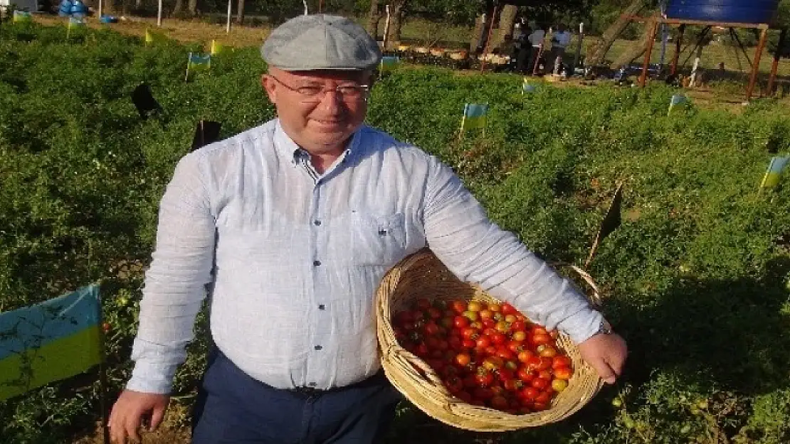 Ata Tohumları Menteşe Belediyesine Ödül Getirdi