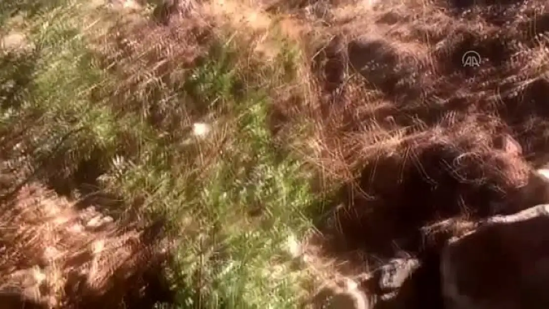 Bodrum'da Atık Suyun Doğaya Boşaltıldığı İddiası