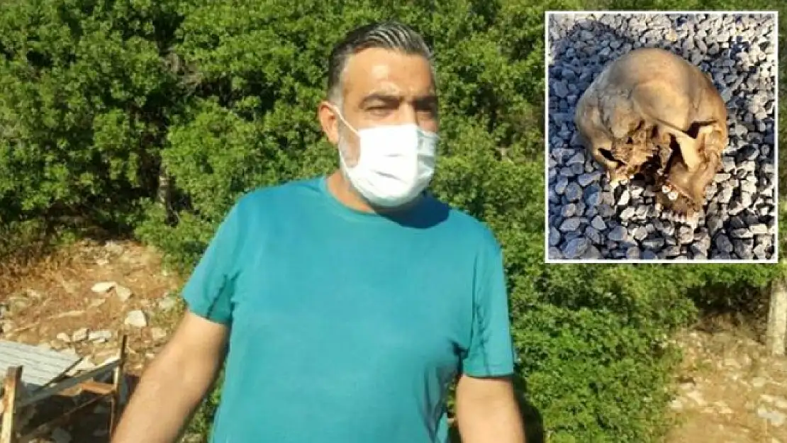 Bodrum'da Bulunan Kafatasıyla İlgili İncelemeler Sürüyor