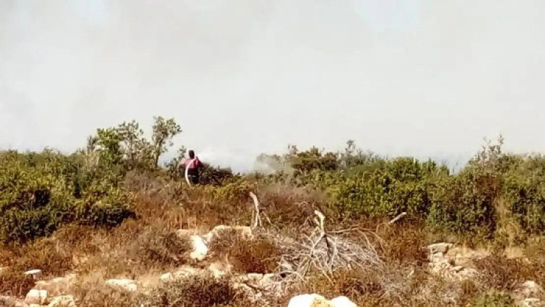 Didim'de Makilik Alanda Yangın Çıktı