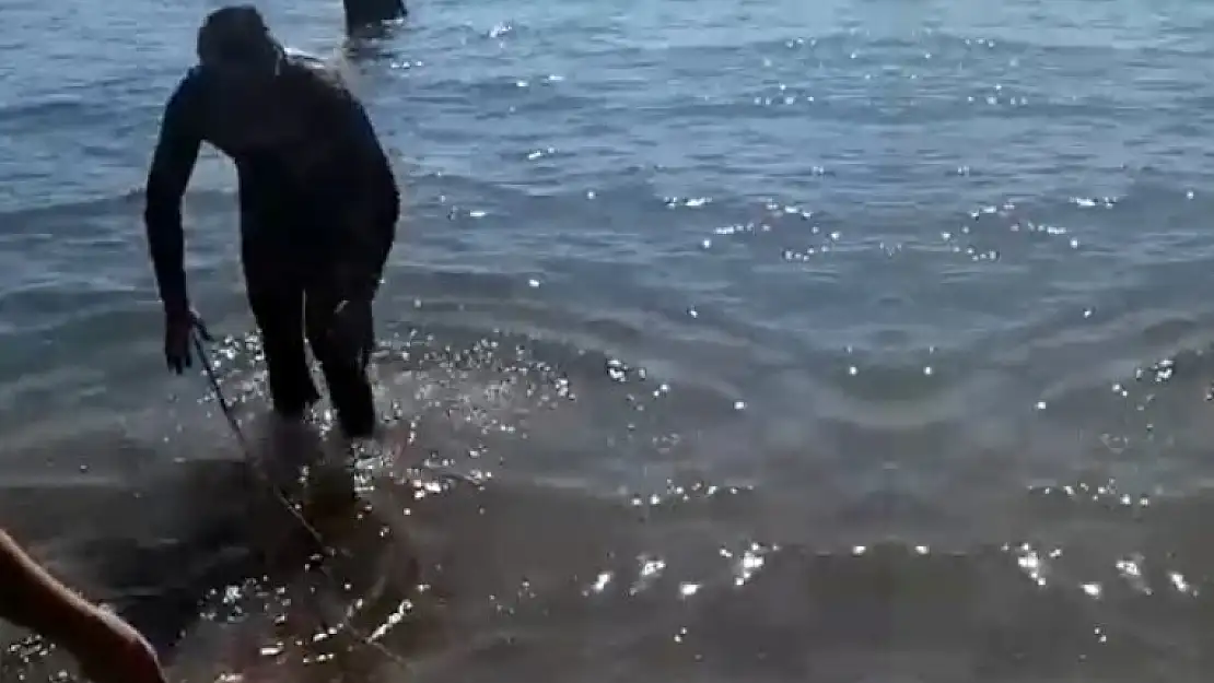 Fethiye'de Zıpkınla 35 Kilo Ağırlığında Akya Balığı Yakaladı