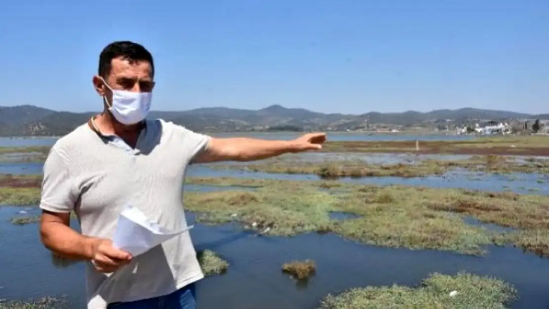 'Flamingo Cenneti'ndeki Kötü Koku Rahatsızlık Yarattı