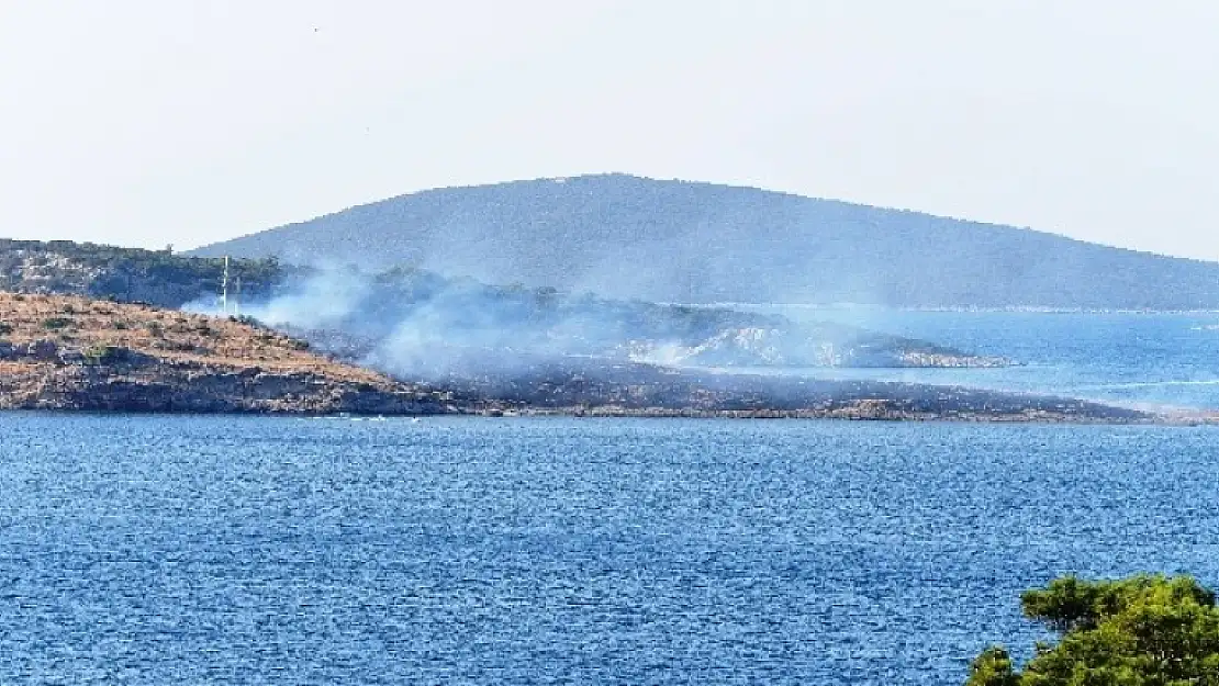 Göltürkbükü'ndeki Yangını Söndürmeye Yüzerek Gittiler