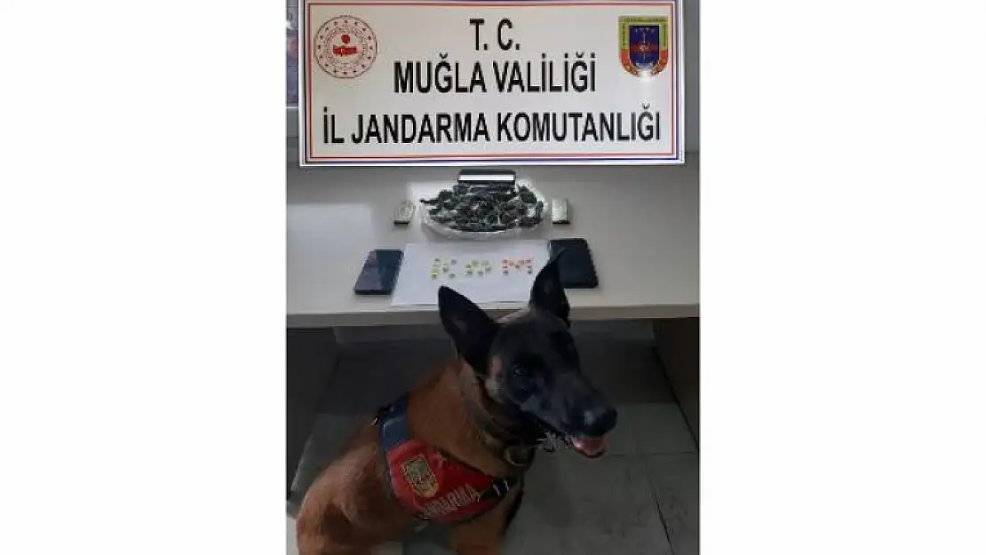 'Kaptan' Yatağan'da Uyuşturucuya Geçit Vermedi