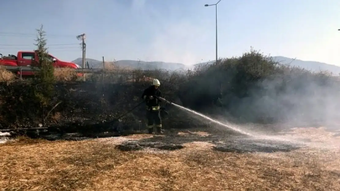 Menteşe'de Bir Kuş Tarlayı Yakıyordu