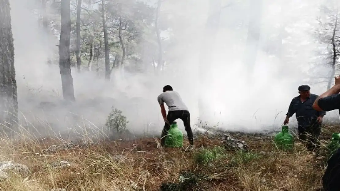 Menteşe'de Köylüler Yangına Koştu Kadınlar Traktör ile Su Taşıdı!