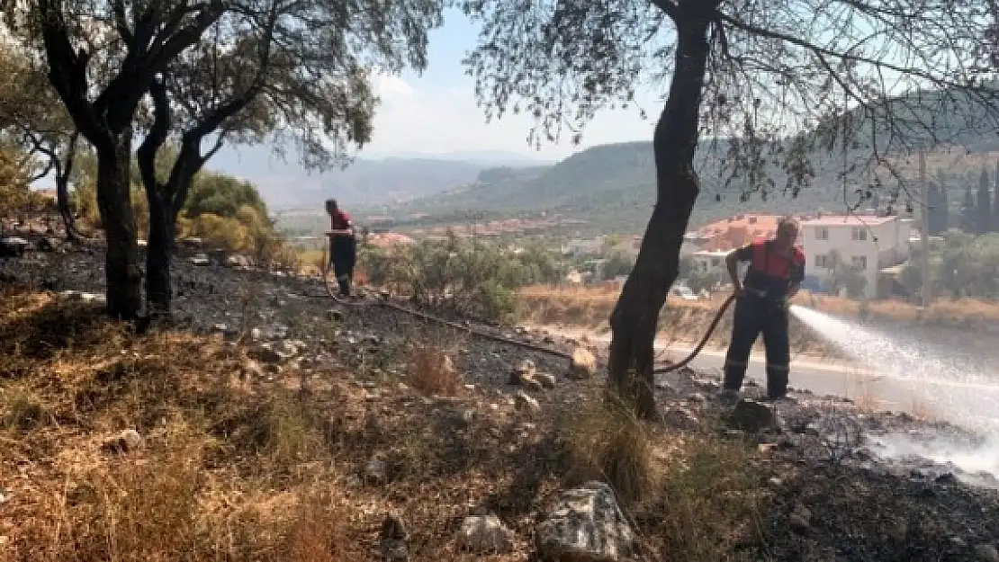 Milas'ta Otluk Alanda Başlayan Yangın Söndürüldü