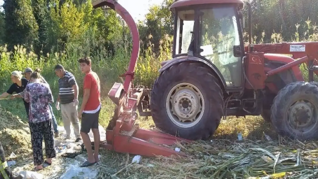 Milas'ta Silaj Makinesi Bir Çiftçinin Kolunu Kopardı!