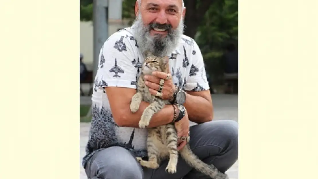 Sokak Kedilerinin Kaderini Mahkeme Belirleyecek