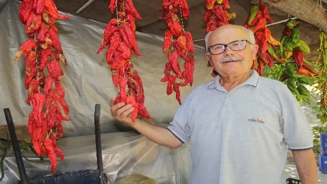 'Tıkıratma Biber' Geleneği Muğla'da Sürdürülüyor