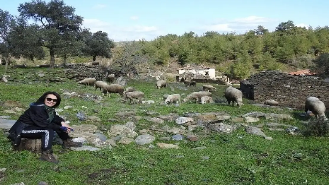 Yatağan'da 2 Asırlık Meyistan Köyü Koyunlara Kaldı