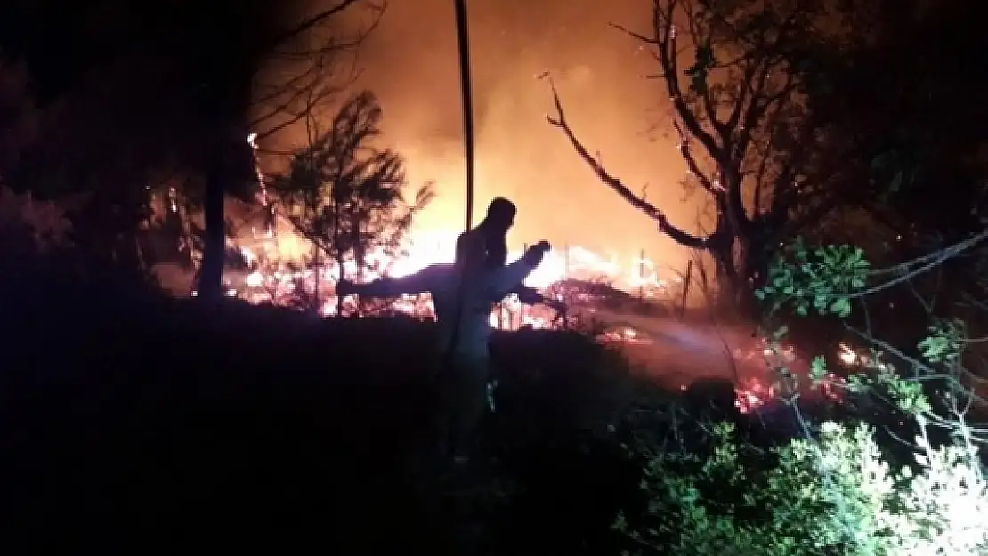 Kabak Koyu'ndaki Yangında Çok Sayıda Bungalov Kül Oldu