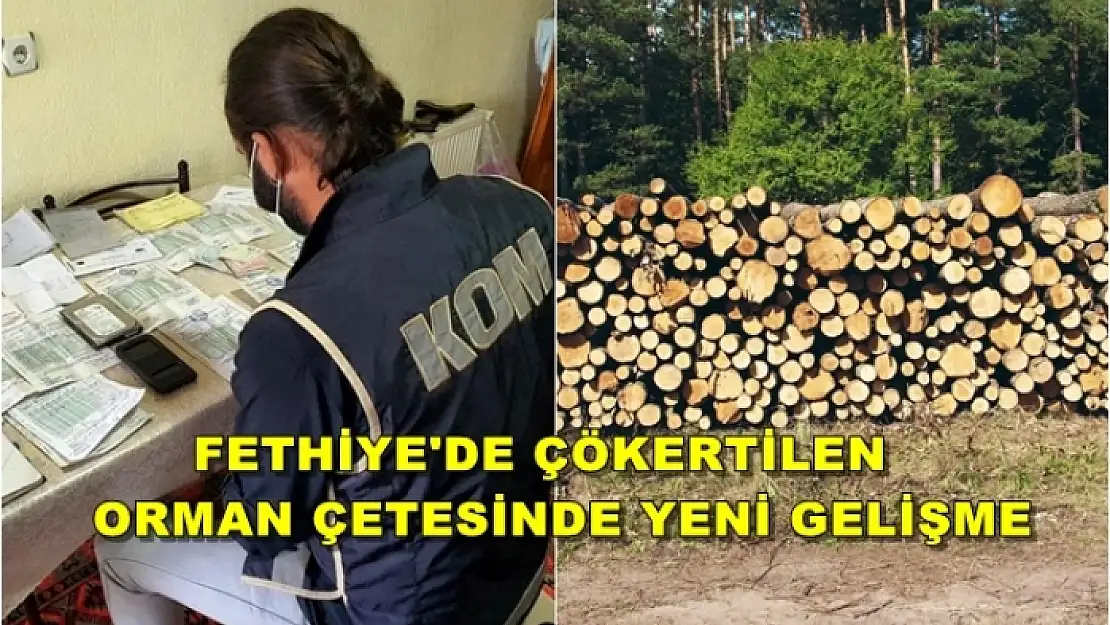 Kooperatif Başkanı, Orman İşletme Şefi ve Orman Muhafaza Memur Tutuklandı