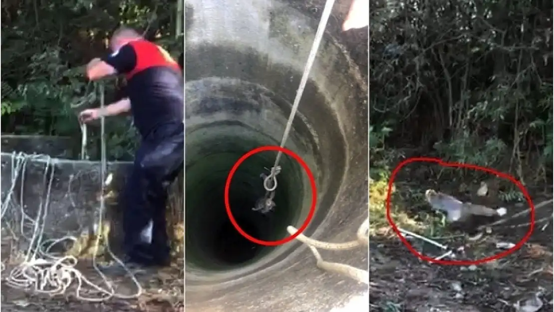 Milas'ta Tilki Operasyonu: 30 Metrelik Kuyudan Kurtarıldı
