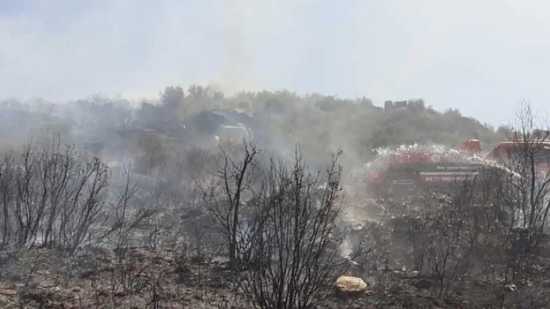 Muğla'da Çıkan Yangın Söndürüldü