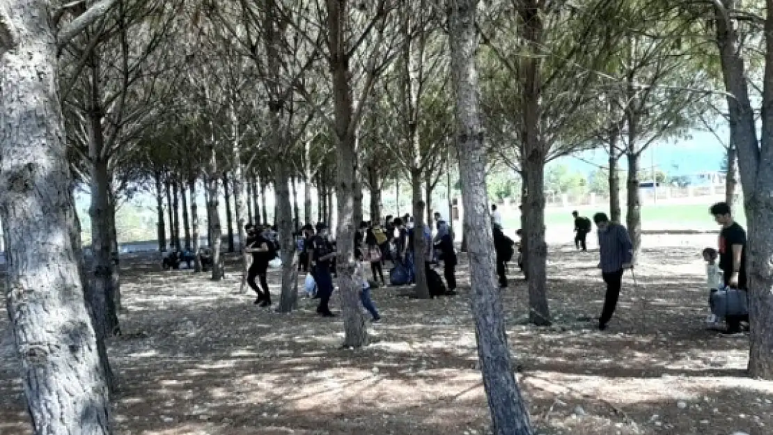 Muğla'nın Düzensiz Göçmen Krizi Sürüyor: Tam 75 Kişi!