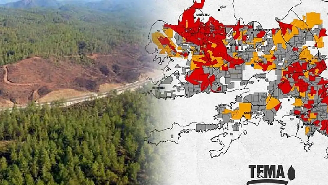 TEMA'dan Korkunç Rapor: Muğla'nın Yüzde 59'u Maden Ruhsatlı