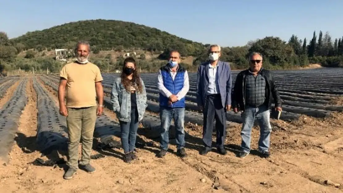 Bodrum Ziraat Odasından Üreticilere Ziyaret