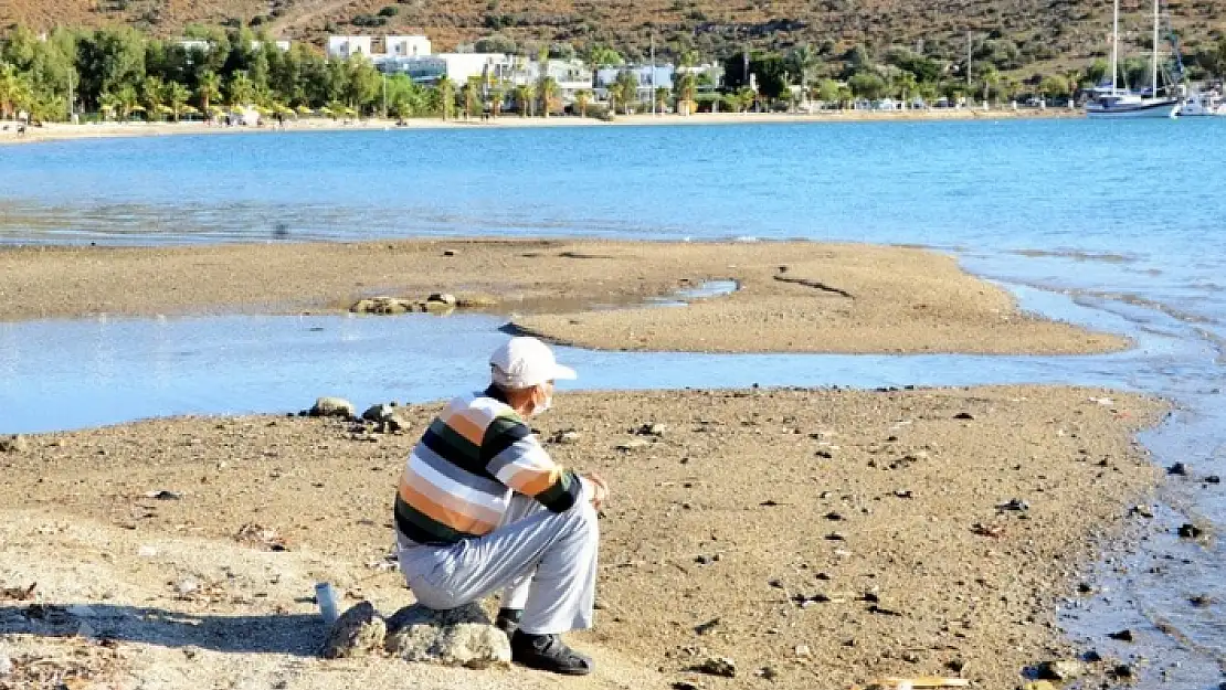 Bodrum'da Deniz 15 Metre Çekildi, Sahilde Adacıklar Oluştu