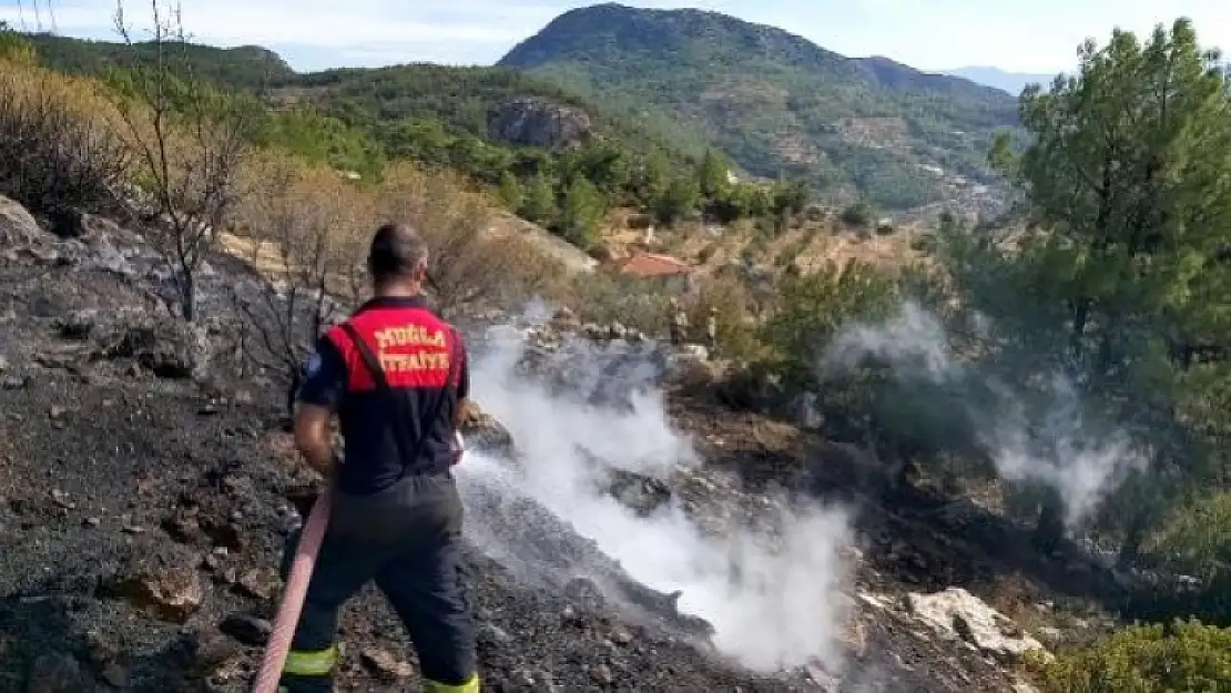 Datça'da Çıkan Yangın 10 Dönüm Kızılçam Ormanını Küle Çevirdi