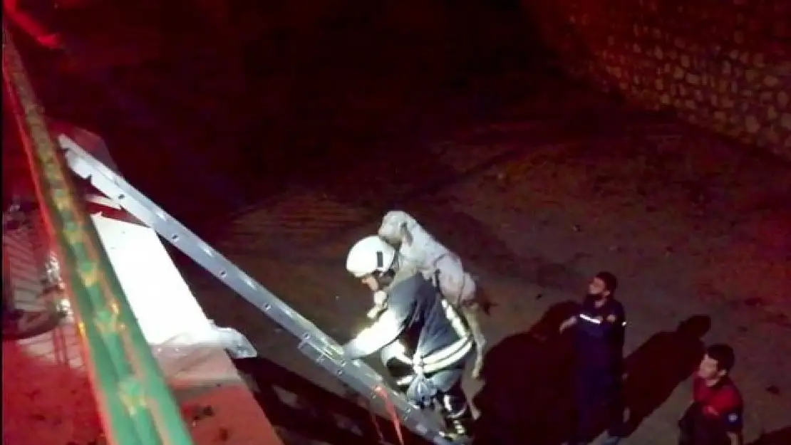 Seydikemer'de Kanala Düşen Keçi Kurtarıldı