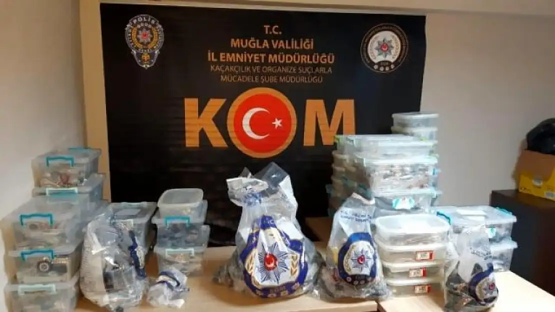 Marmaris'te 10 Milyon TL'lik Gümrük Kaçağı Ürün Ele Geçirildi