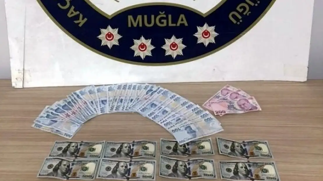 Muğla'da Sahte Dolar Operasyonu