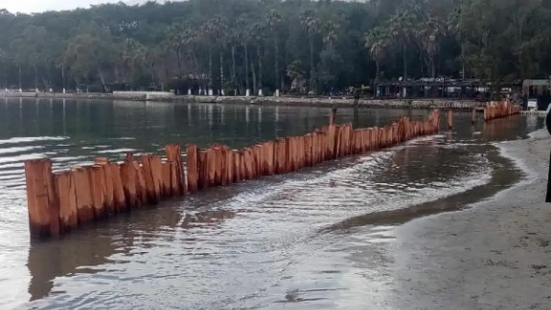 Akyaka Sahilinde Kumun Denize Kaymaması İçin Ağaç Kazıklı Önlem Alındı