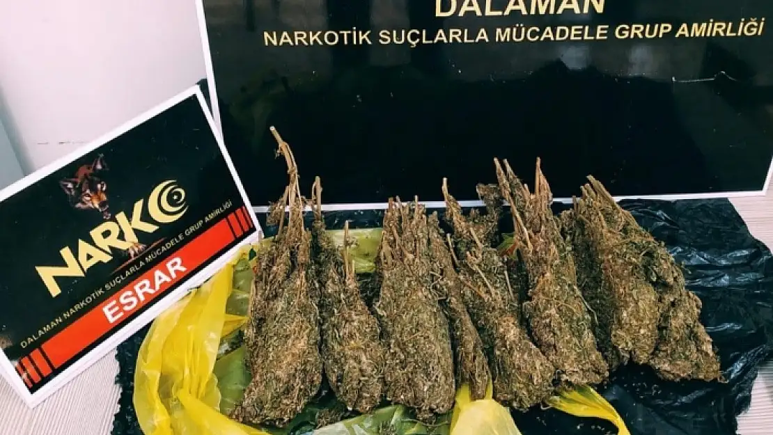 Muğla'da Uyuşturucu Tacirlerine Geçit Yok!